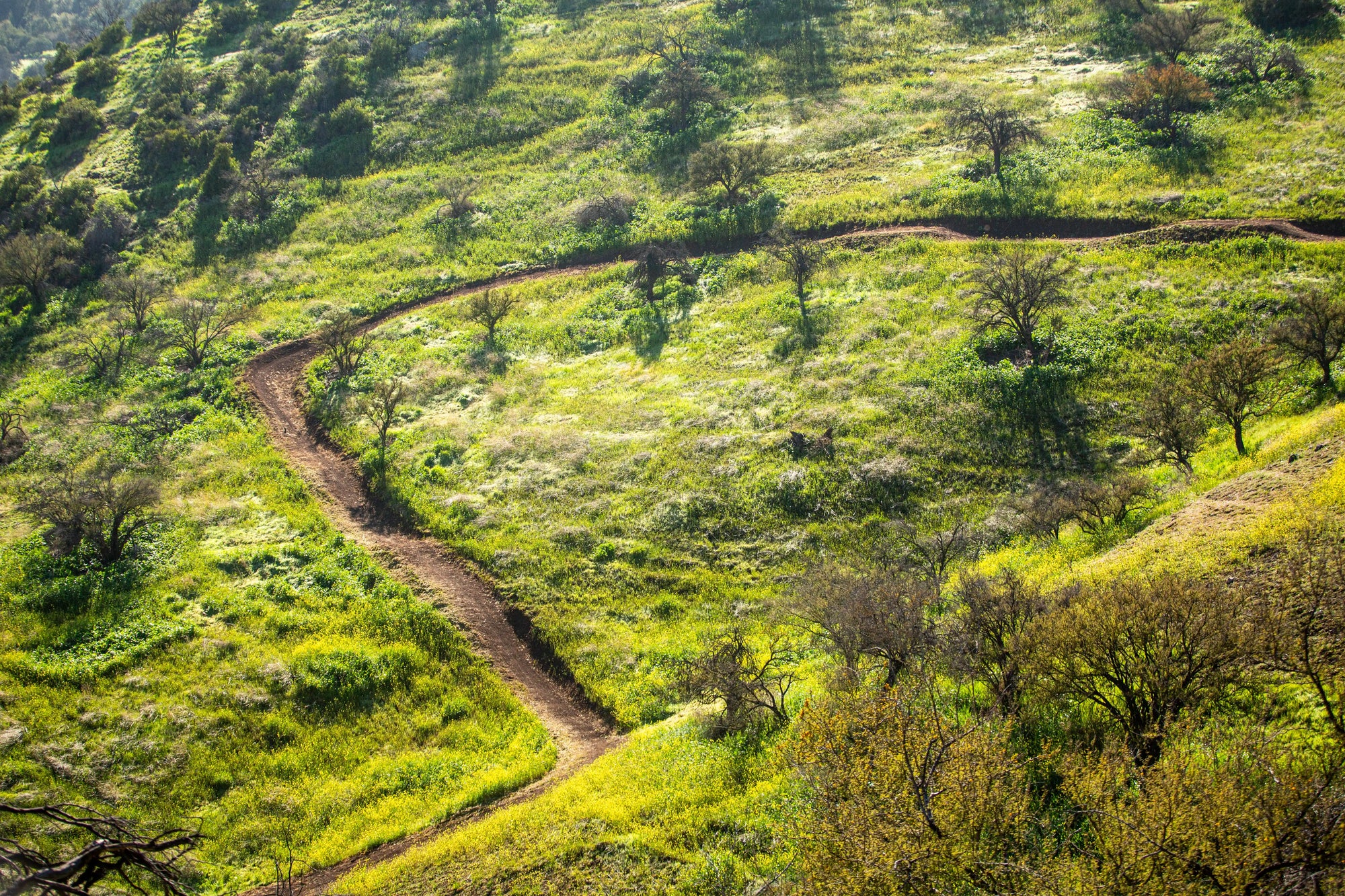 Bikepark Membresía Acceso Ilimitado
