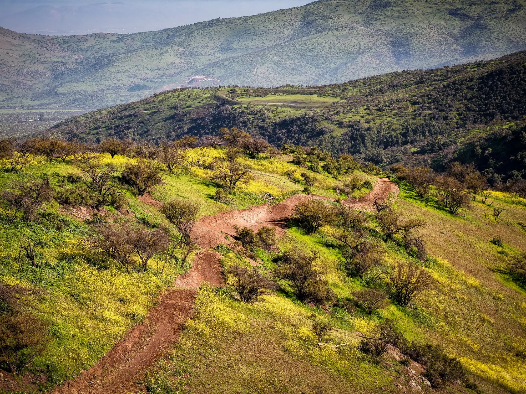 Bikepark Membresía Acceso Ilimitado