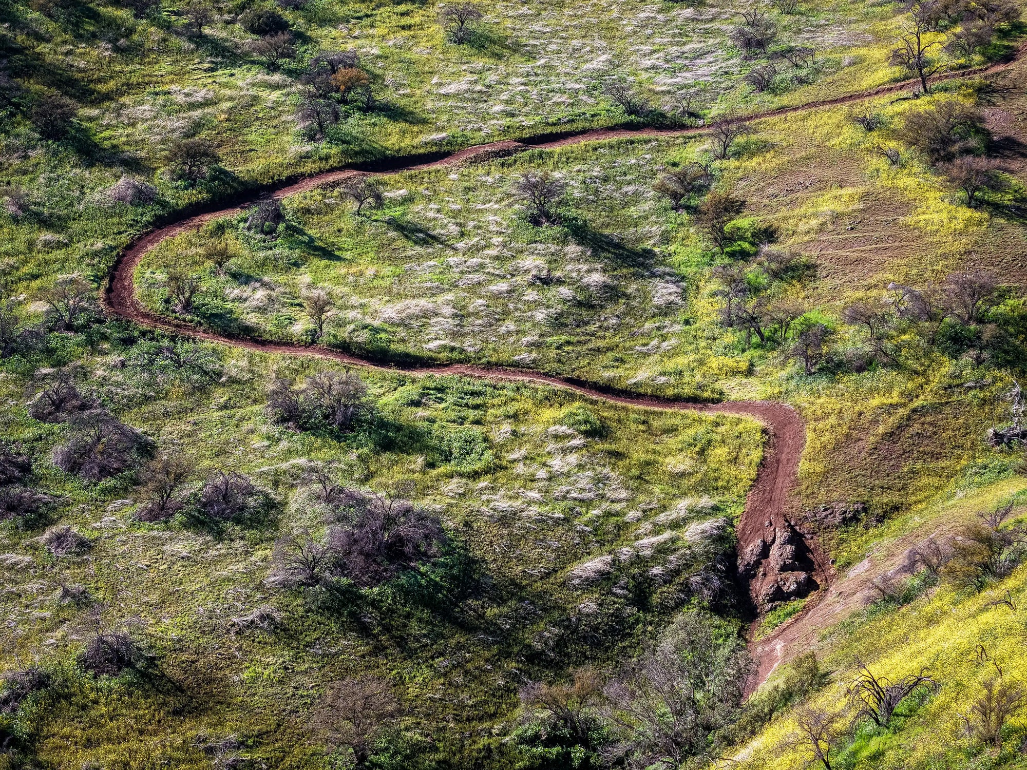 Bikepark Membresía Acceso Ilimitado