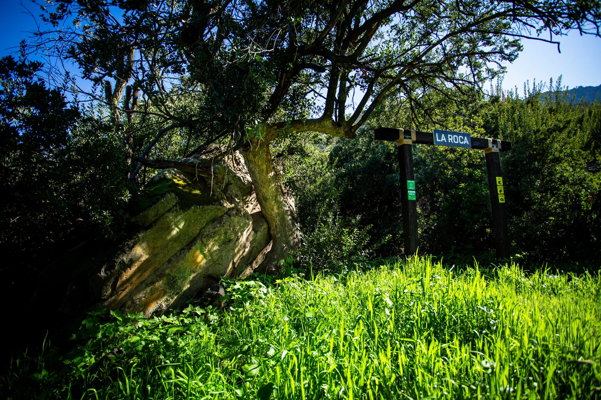 Bikepark Membresía Acceso Ilimitado