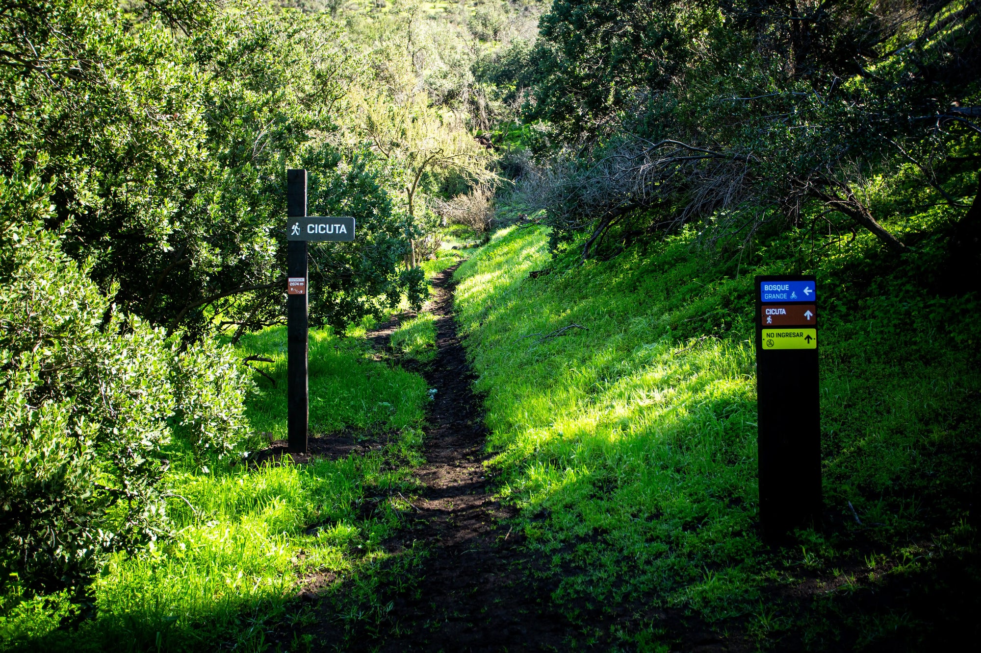 Ticket Día Trekking