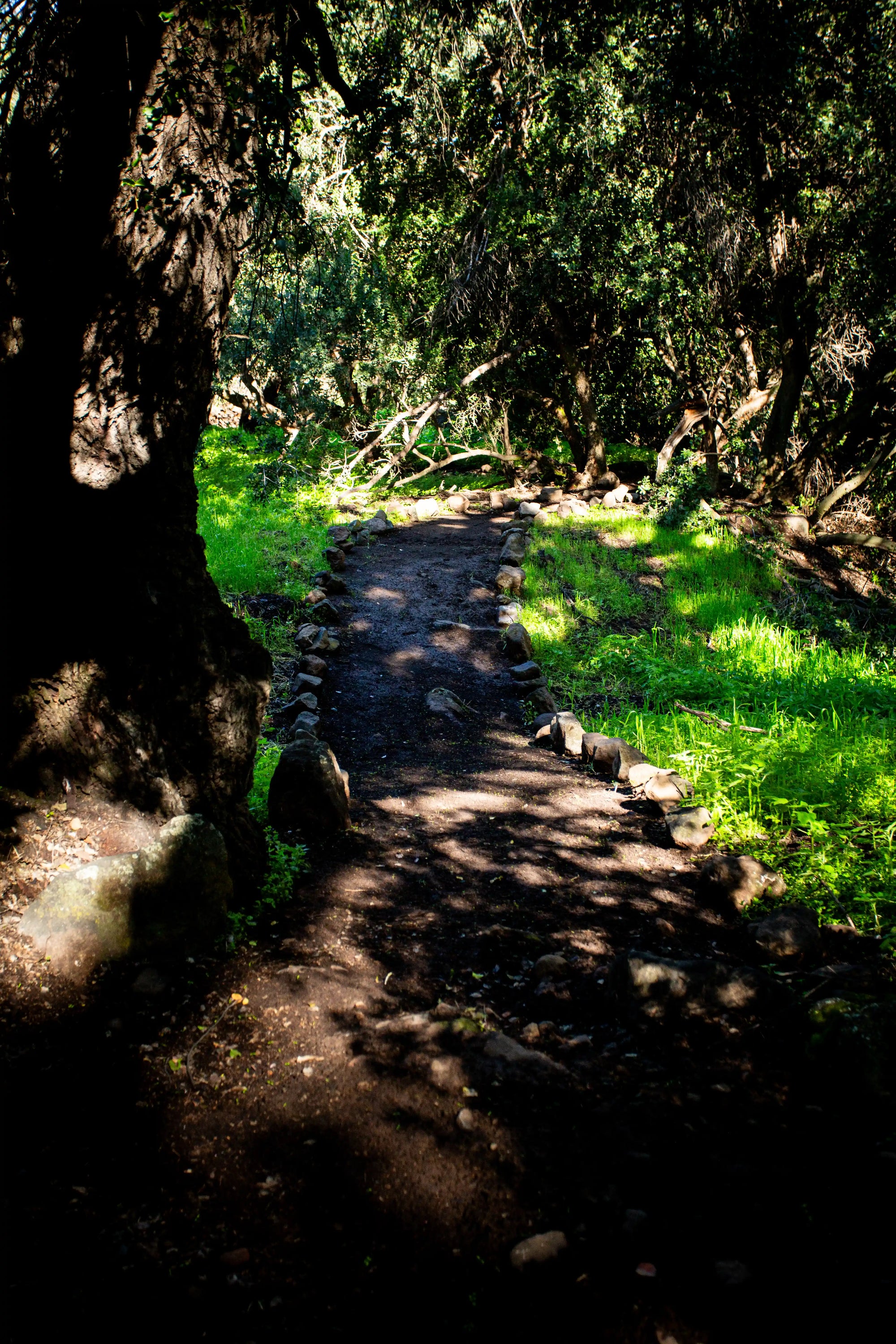 Ticket Día Trekking