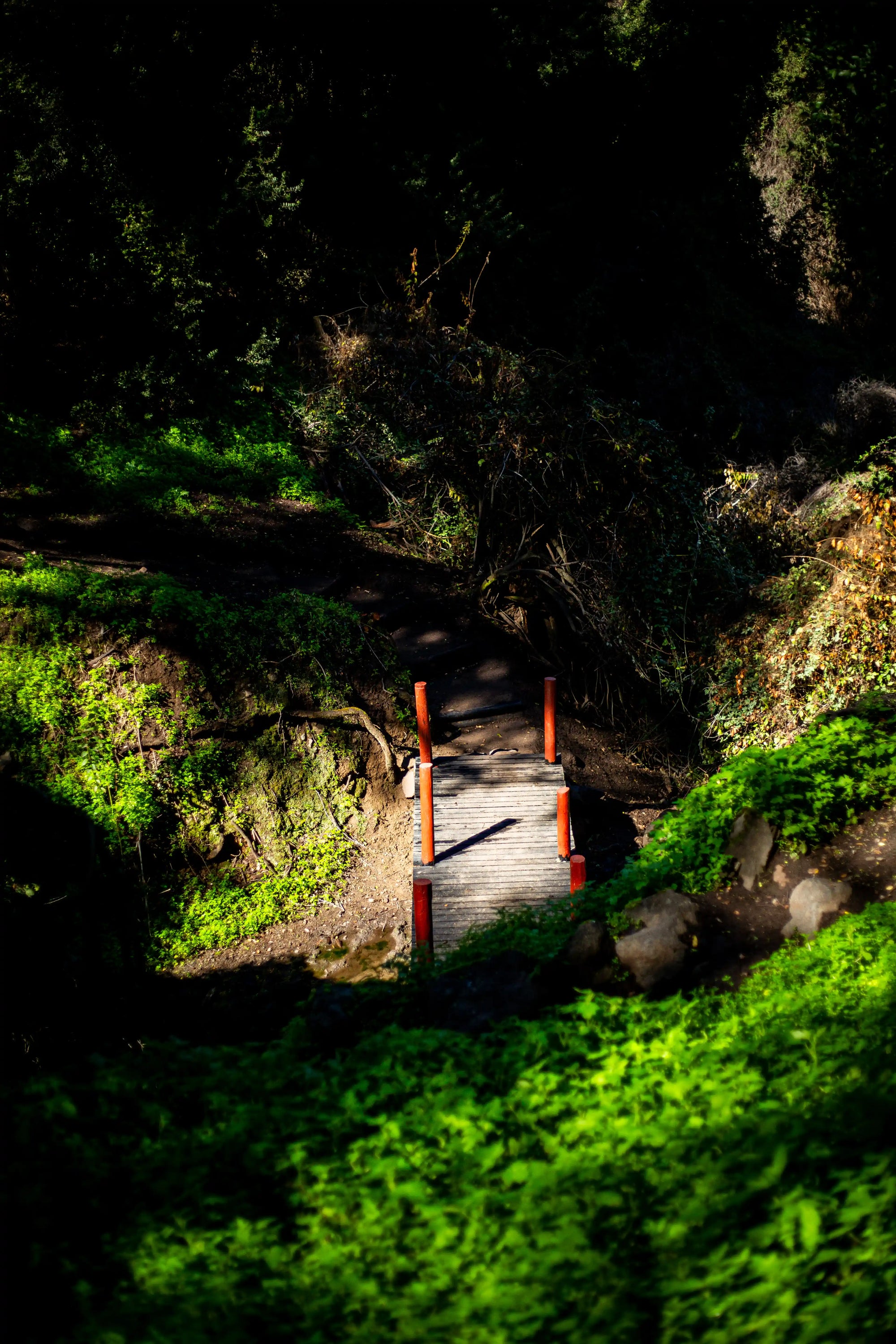 Ticket Día Trekking