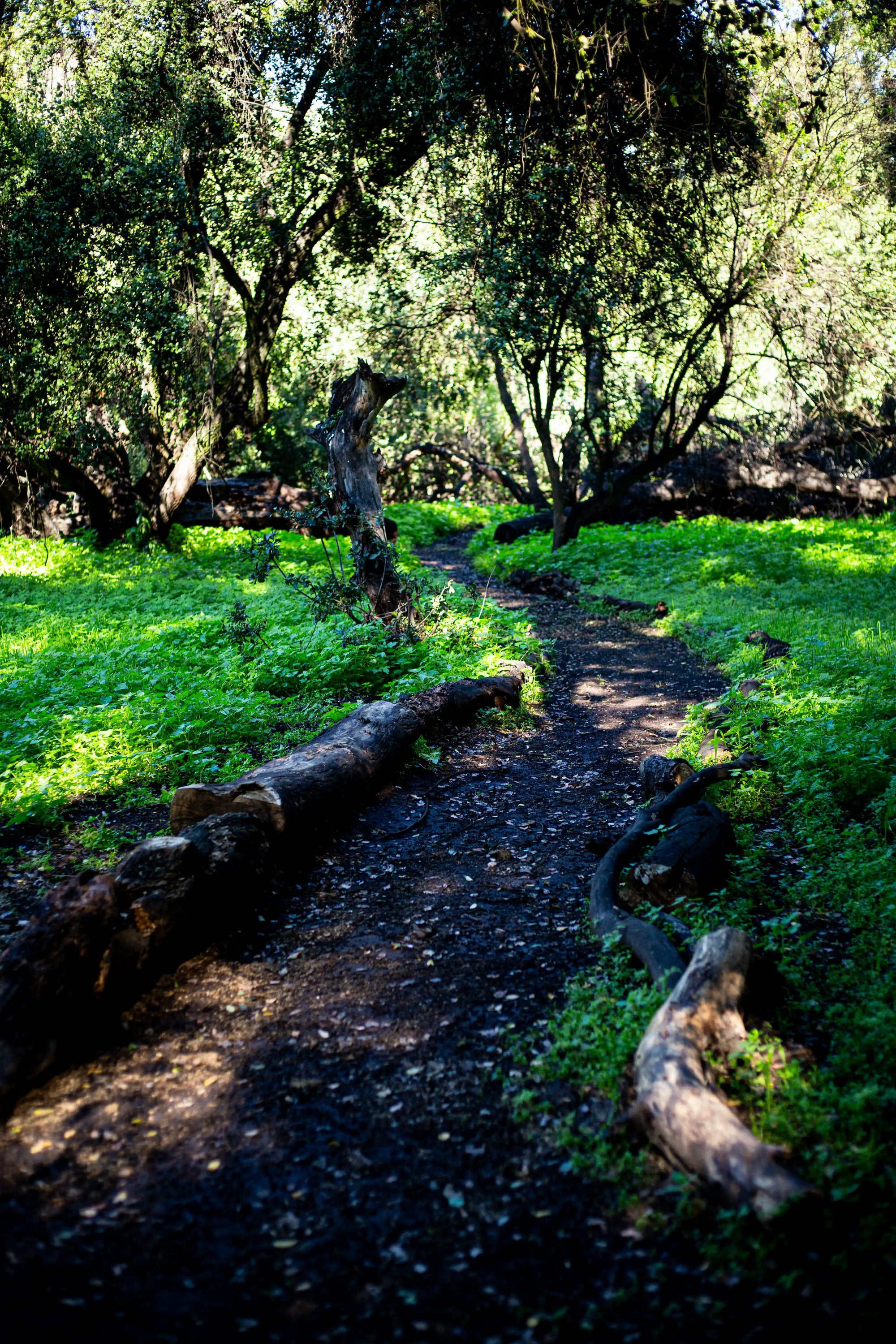 Ticket Día Trekking