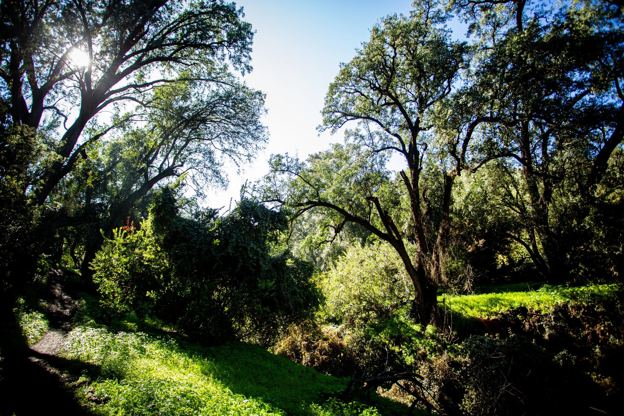 Ticket Día Trekking