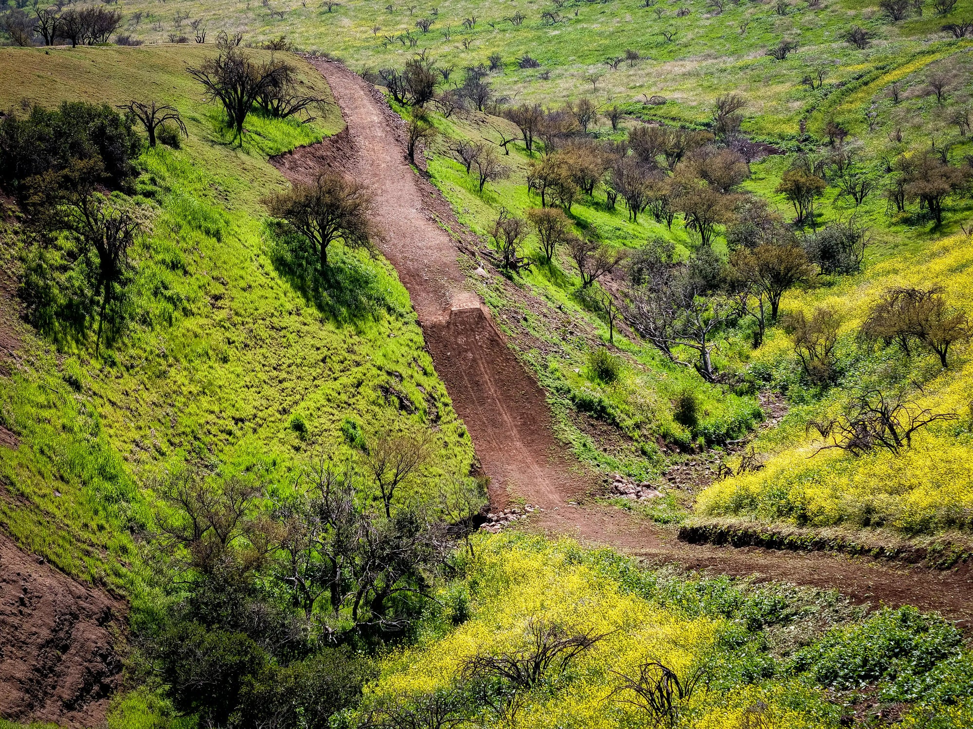 Bikepark Membresía Acceso Ilimitado