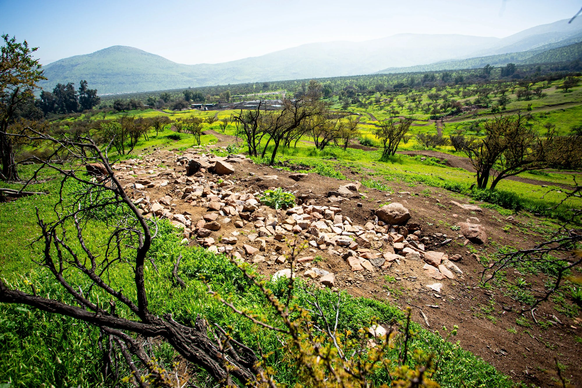 Bikepark Membresía Acceso Ilimitado