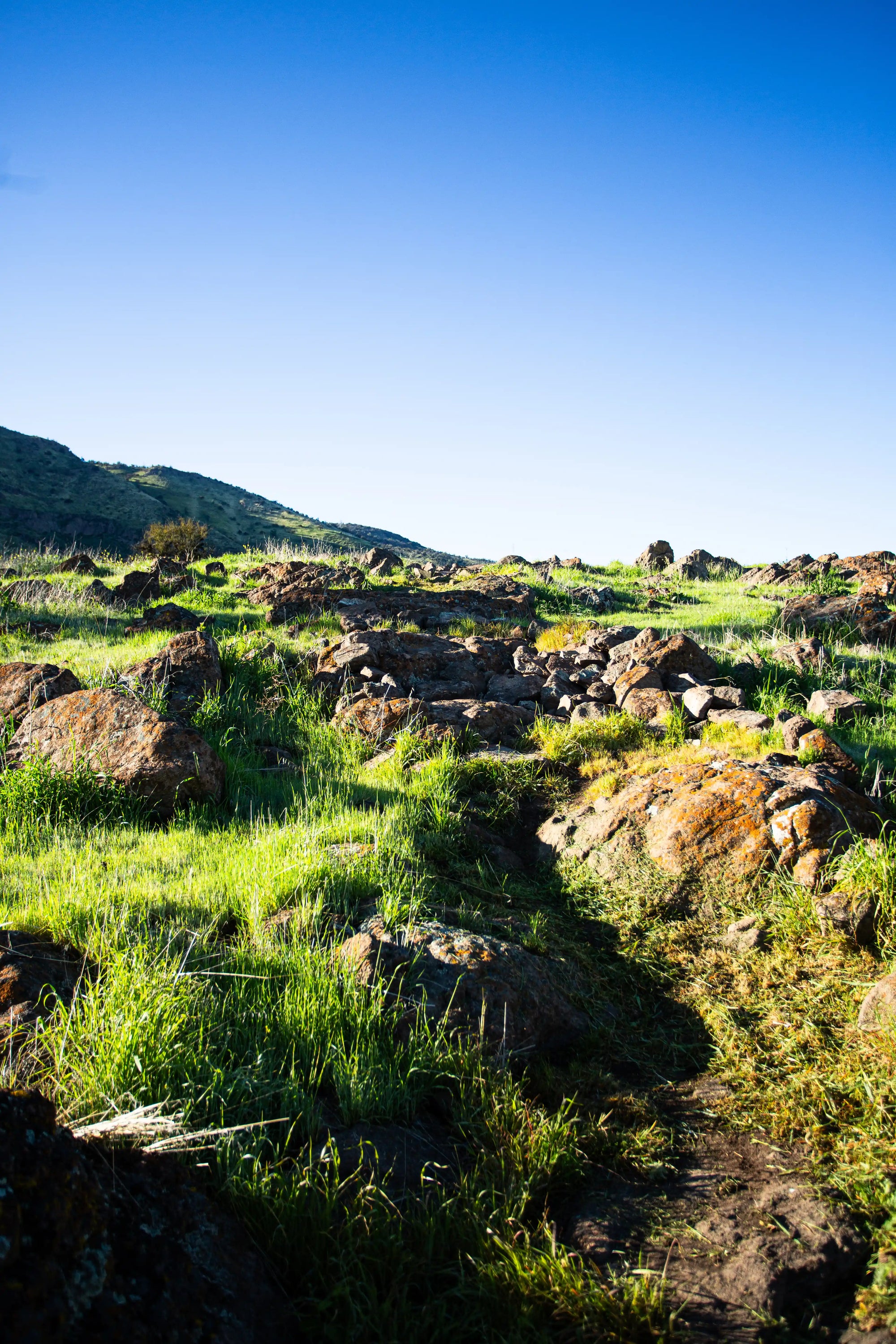 Bikepark Membresía Acceso Ilimitado
