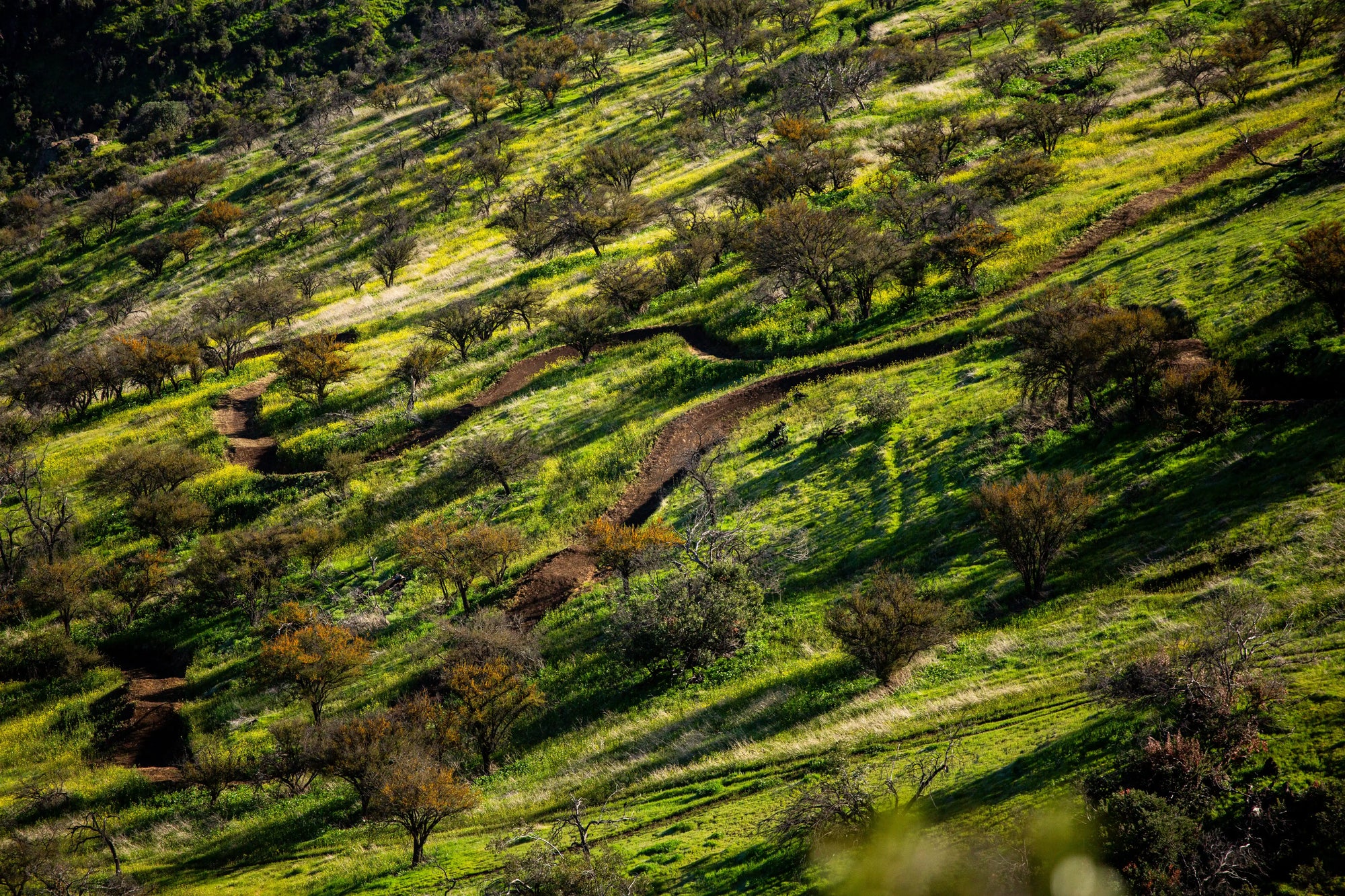 Bikepark Membresía Acceso Ilimitado